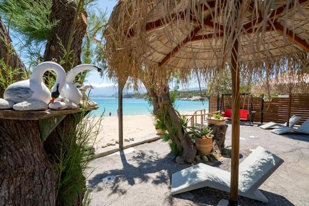 Sea And Sun Metaxy Mas, Brand-New, Beachfront ! Chania  Exterior foto